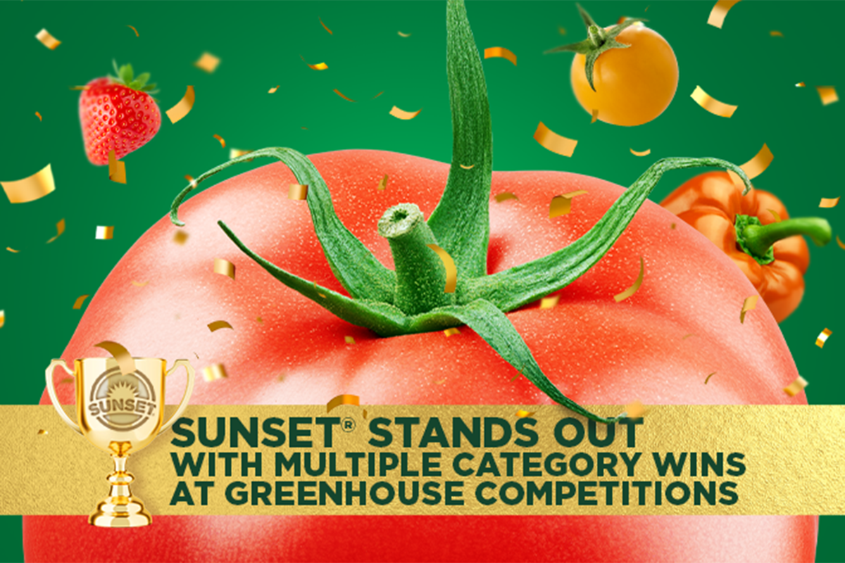 680x448 SUNSET website.png