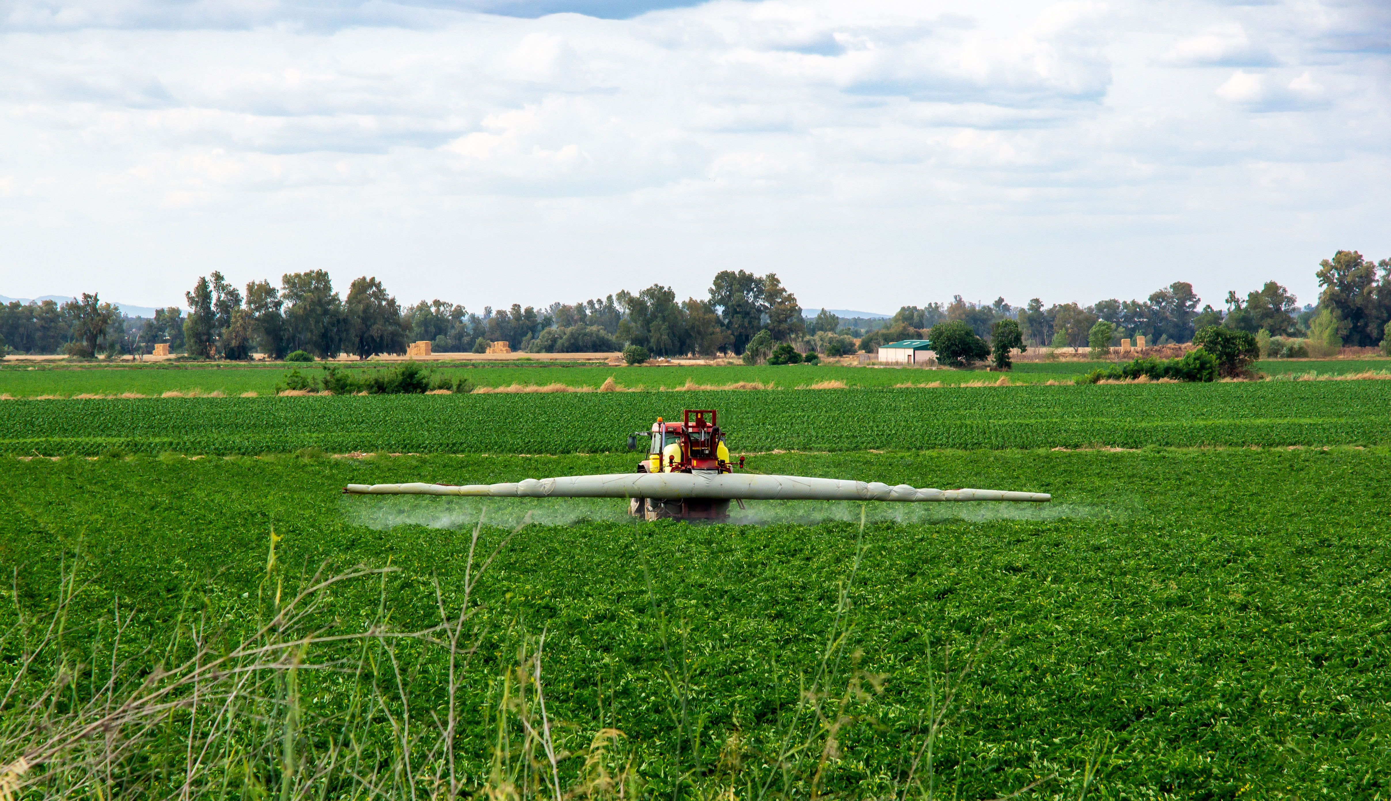 field