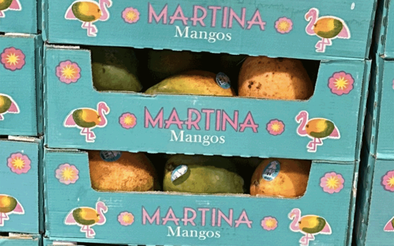 Mangoes Distributed in 4 States Recalled - Produce Market Guide