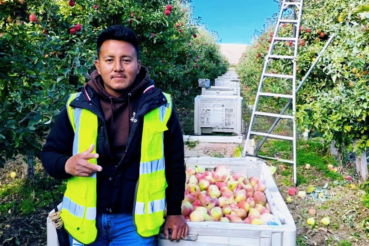 Meet 2026 Farmworker of the Year Finalist Jesús Gutiérrez Manuel - Produce Market Guide