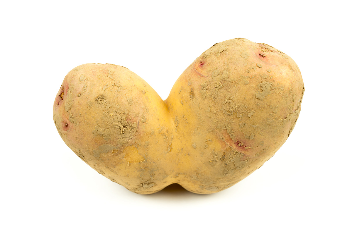 NoKota Packers Promotes Perfectly Good Imperfect Potatoes to Curb Food Waste