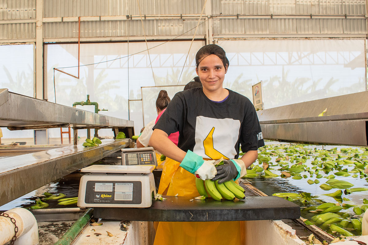 How Tariffs Grounded Fair Trade Produce in 2025, Just as It Was Poised for Takeoff - Produce Market Guide