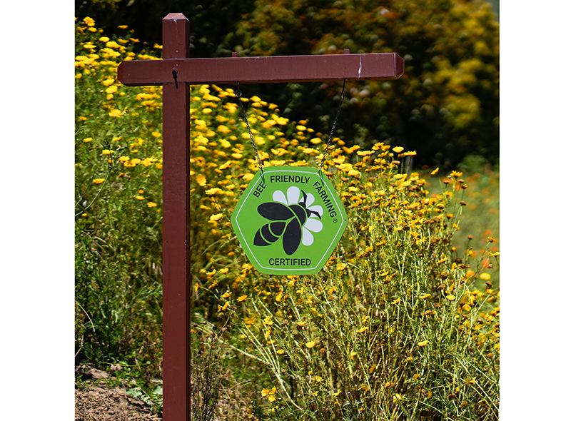 CA avocados INDEX FRESH bees editDSC2701.jpg