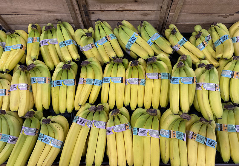 Equifruit organic EDITbananas 4.jpg