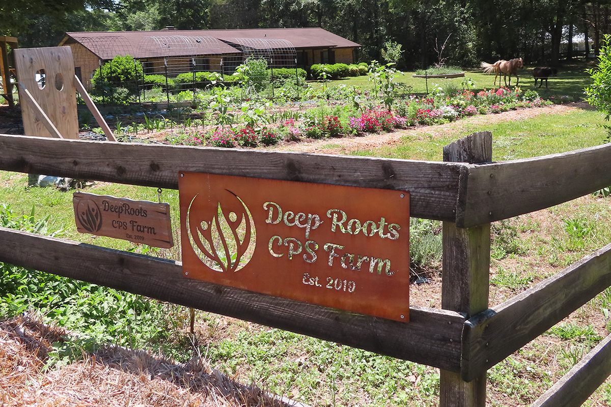 Deeply Rooted: How a First-Generation Farm Reclaims Black Food Sovereignty - Produce Market Guide