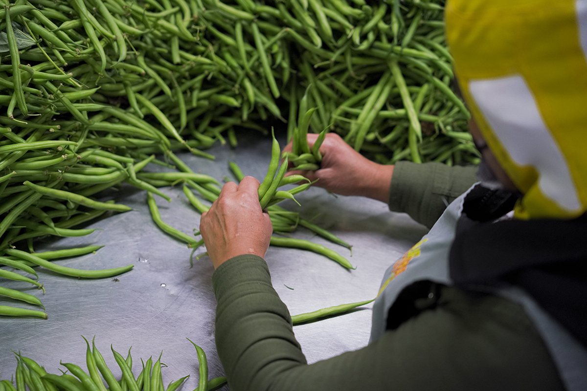 FairFruit Shares U.S. Market Vision