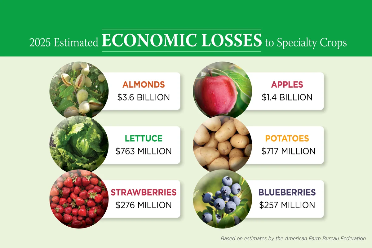 Specialty Crops Suffered Staggering Economic Losses in 2025, Will Relief Come in Time? - Produce Market Guide