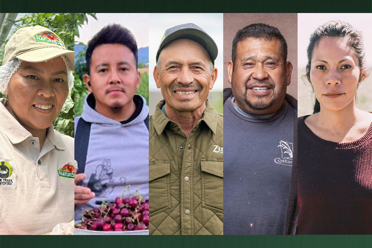 Honoring Excellence in the Fields: Finalists Announced for Farmworker of the Year - Produce Market Guide