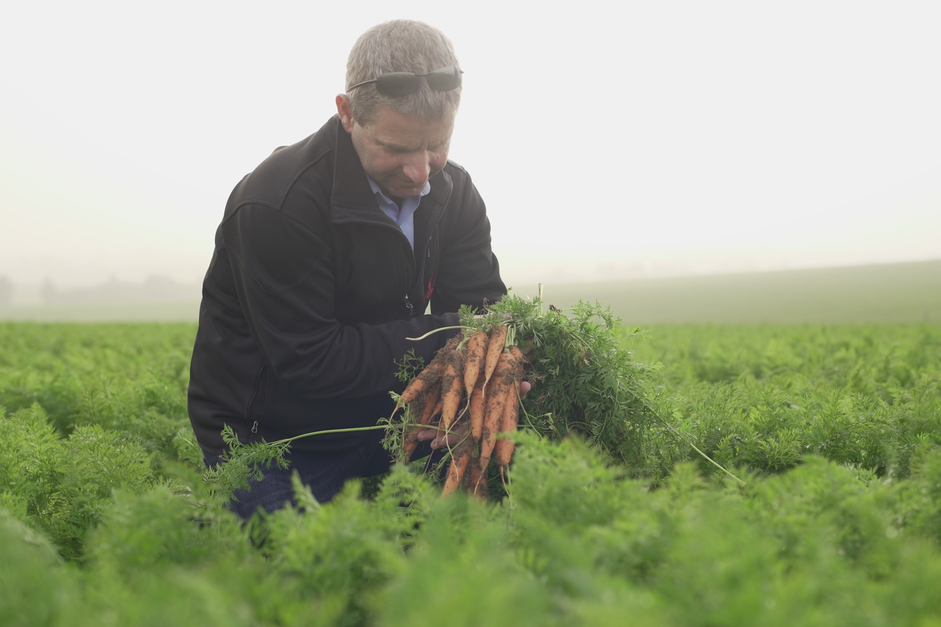 Bda/Dorot Farm Yellow Carrot Program To Bring a Burst of Color to IFPA Show
