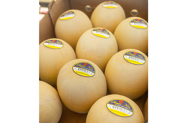 Legend_Melons_box EDIT.jpg