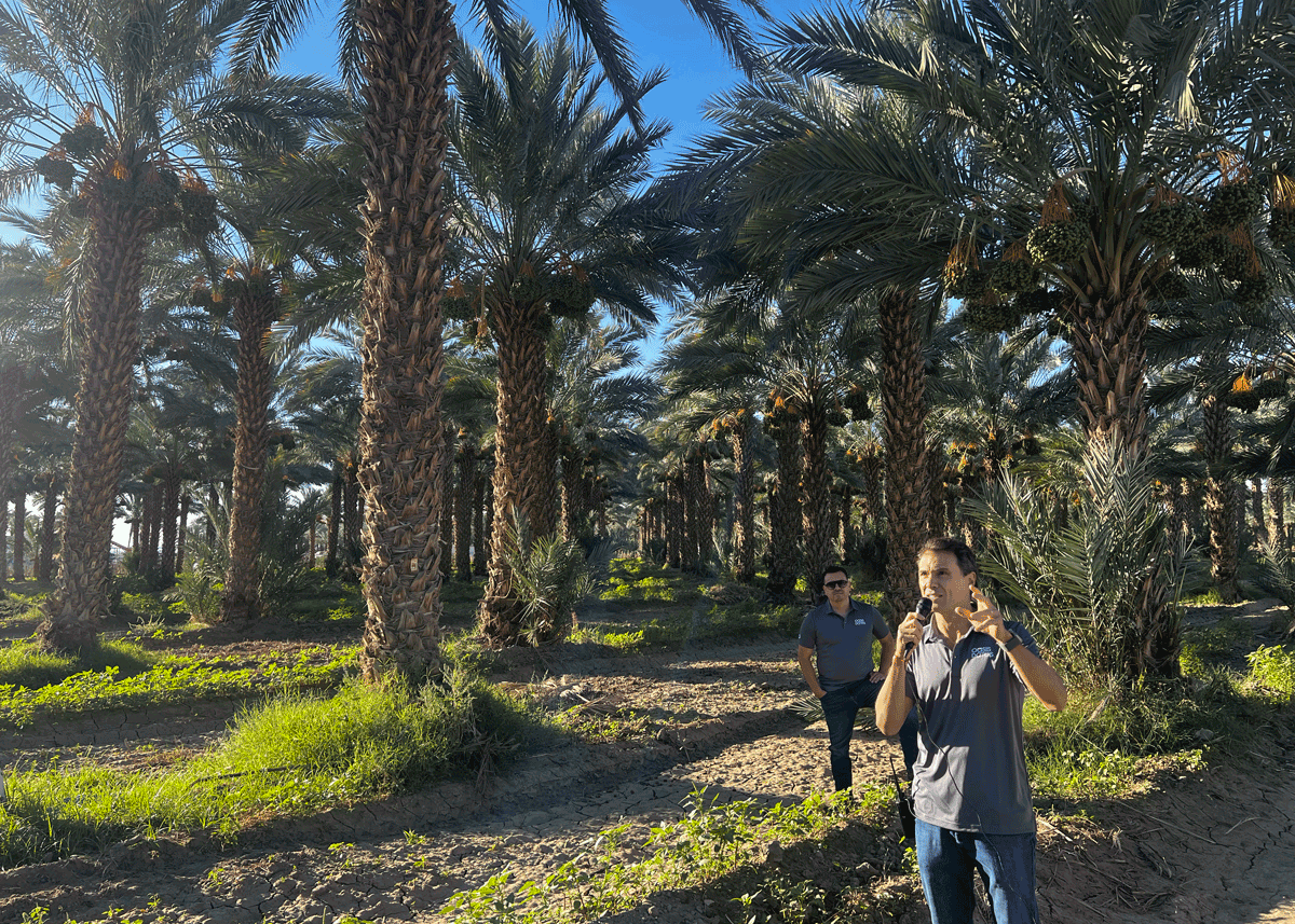 WCPE-Oasis-Dates-new.png