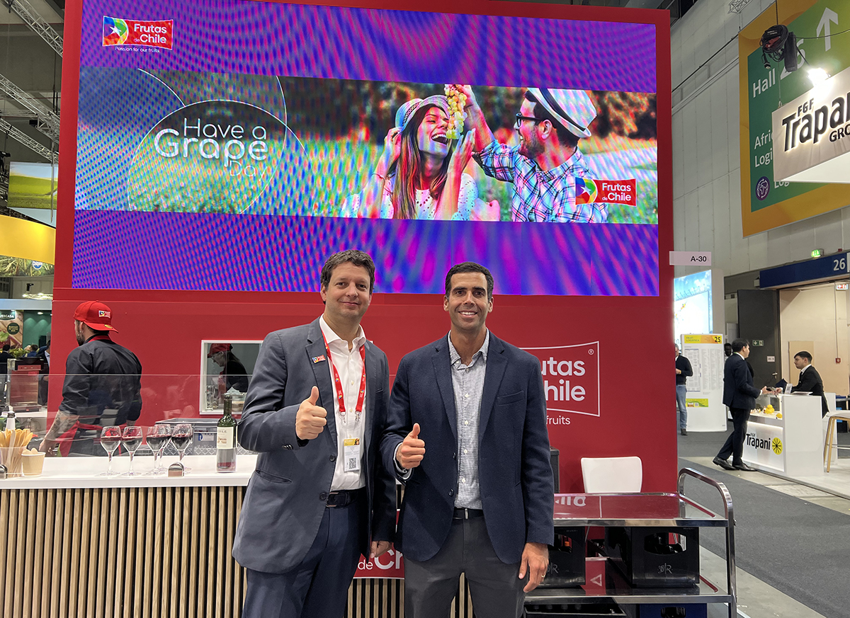 Global Grape Group Gains Steam as It Aims to Grow Consumption - Produce Market Guide