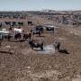 Feedlot.mud_.SChesnut.jpg