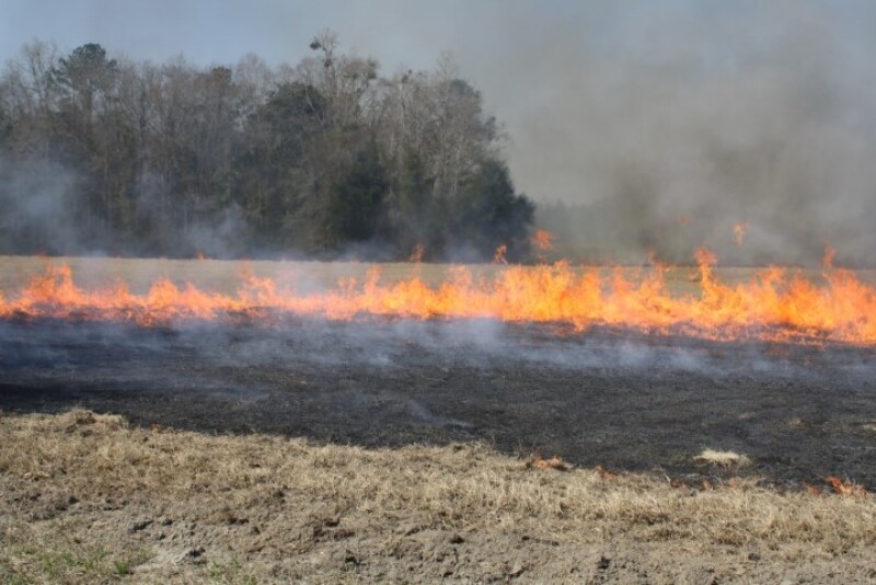 Burning-Hayfield