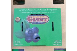 California Giant Berry Farms has introduced corrugated clamshell containers  like this 18-ouce blueberry “clamshell” for strawberries and blueberries, says Eric Valenzuela, the company’s director of food safety and sustainability. The company  sees sustainability as an extension of the firm’s effort to give back to the community