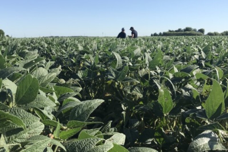 Scouts on the Midwest Crop Tour