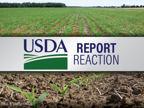 USDA Report Reaction - Lindsey Pound