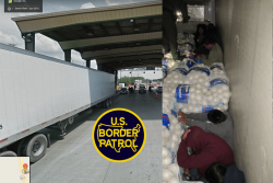 U.S. Customs and Border Protection found 12 undocumented immigrants in a tractor-trailer load of onions.