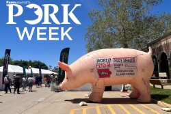 giant inflatable pig balloon at world pork expo