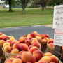 The Packer is looking for insight on local produce marketing.