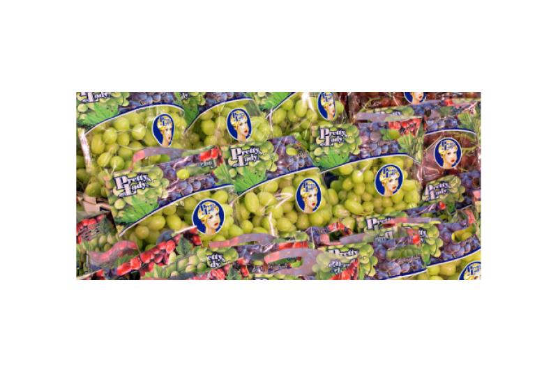 Pretty lady Vineyards has released a Virtual Grape Guide.