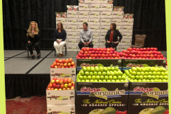 Wendy of Produce for Better Health Foundation talks with panelists at Global Organic Produce Expo