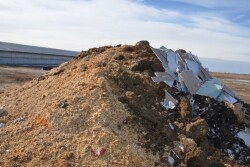 Compost Pile