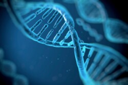 dna_9.jpg