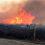 Wildfire