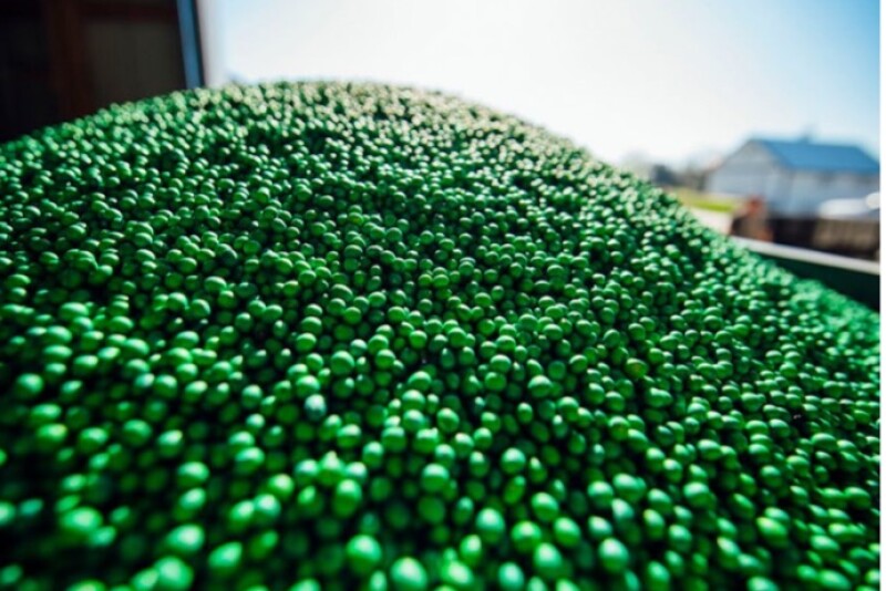 Using a premium seed treatment provides an extra measure of protection for farmers’ seed investments.