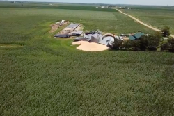 An aerial view shows the derecho damage in Lowden, Iowa, with grain bins tangled and corn fields flattened by 100 mph winds. 