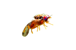 4B30BC28-1A4C-498D-93FD974EDC3940AA.png