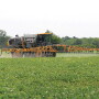 Herbicide application in soybeans.