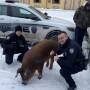 Richmond police and pig