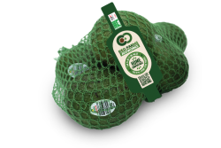 oppy avoworks