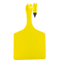 V2_Feedlot_Yellow.png