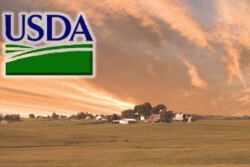 usda_farm