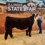 Maci Brooks and her Champion Hereford Steer