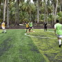 coliman sports