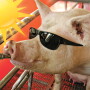 Hot-Weather,-Cool-Strategies