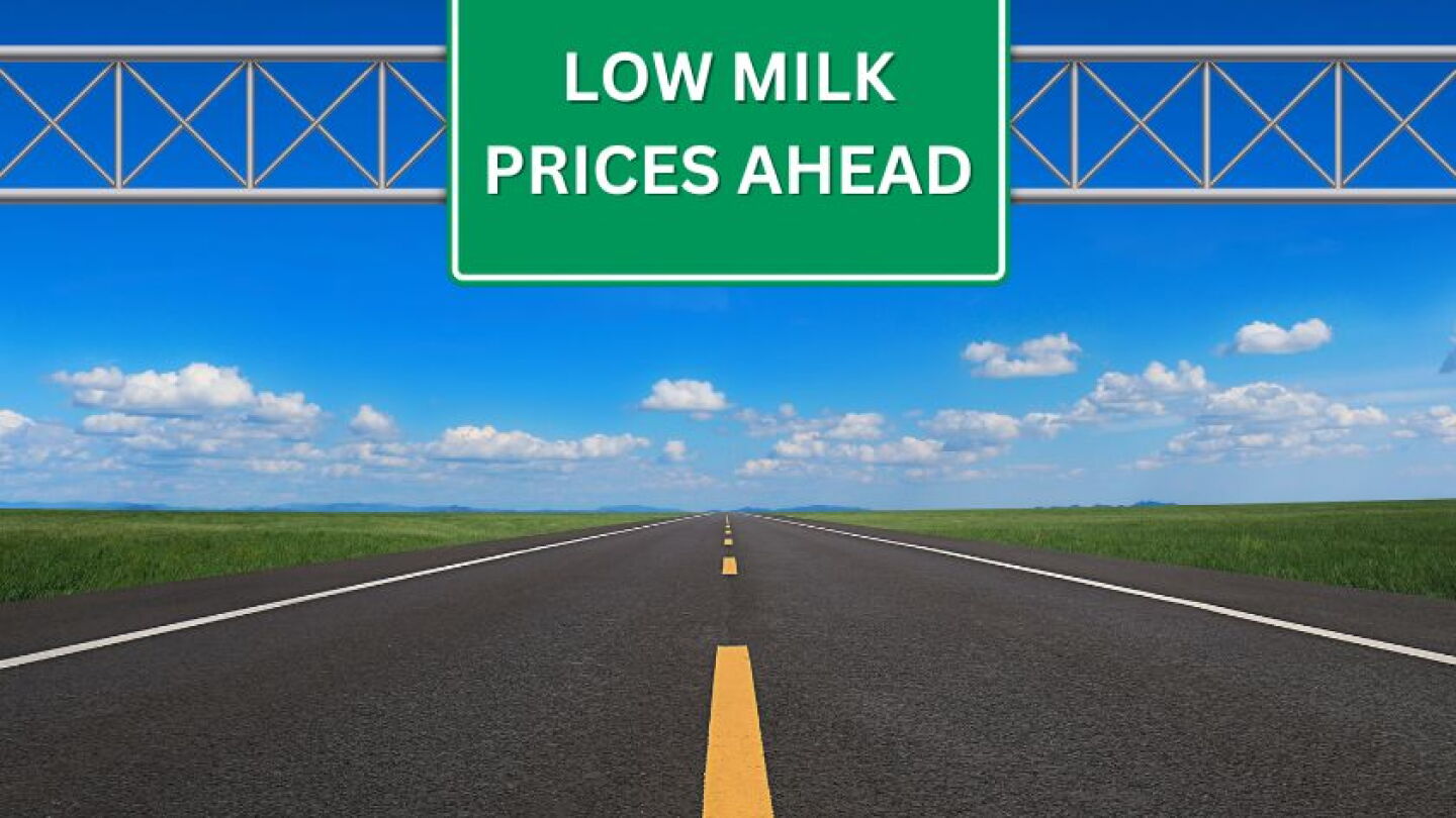 Dairy Producers Face a Triple Squeeze From Milk, Feed and Beef Markets