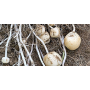 simplot