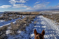 Scenic Mesa Ranch CO