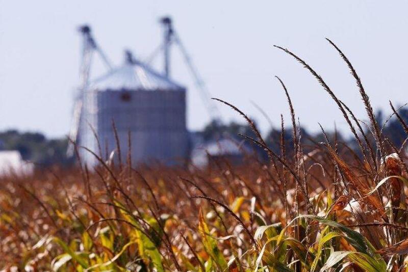 POOR HARVEST: Grain bins are seen at the Gibson family property in Morocco, Indiana. Like many 'go-go farmers,' the Gibsons ran into trouble by taking on debt in the recent agricultural boom.