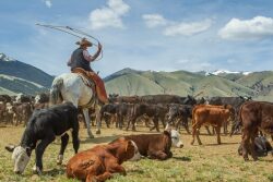 Beaverhead Ranch