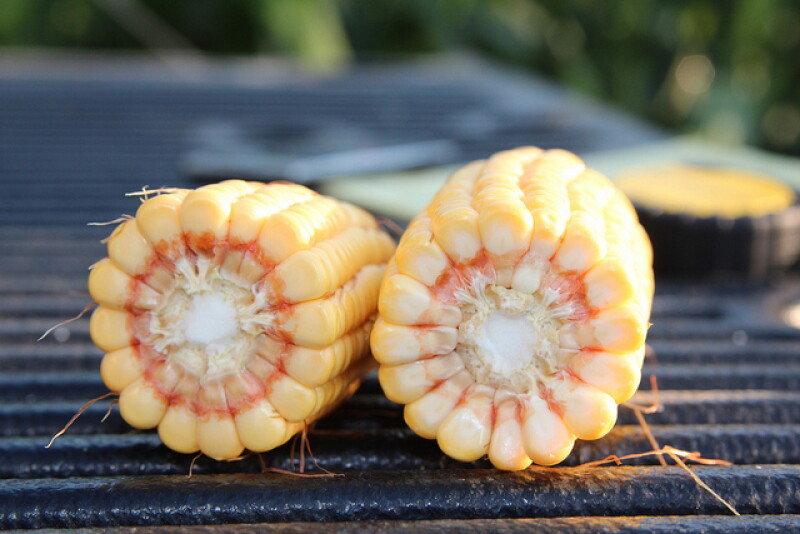 The Pro Farmer Crop Tour in August found fewer and smaller ears