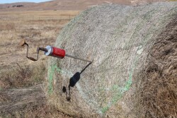 Testing_Hay