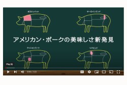 USMEF Video
