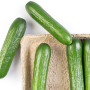 7406061A-8711-4A02-999C76E941118F2C.png