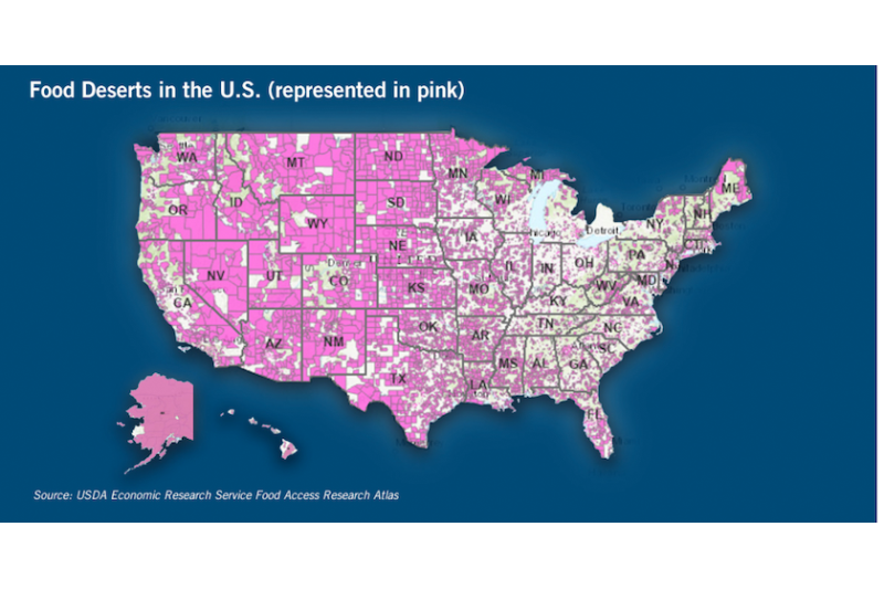 food desert web